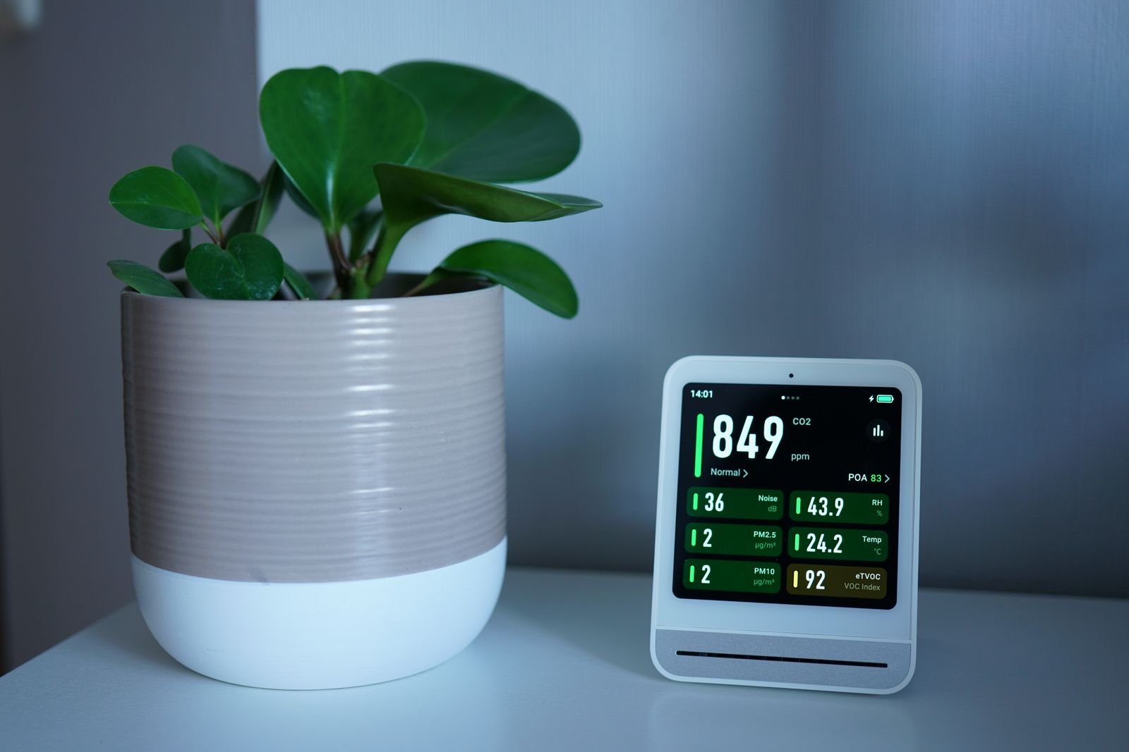 Air quality monitor beside a potted plant on a desk.