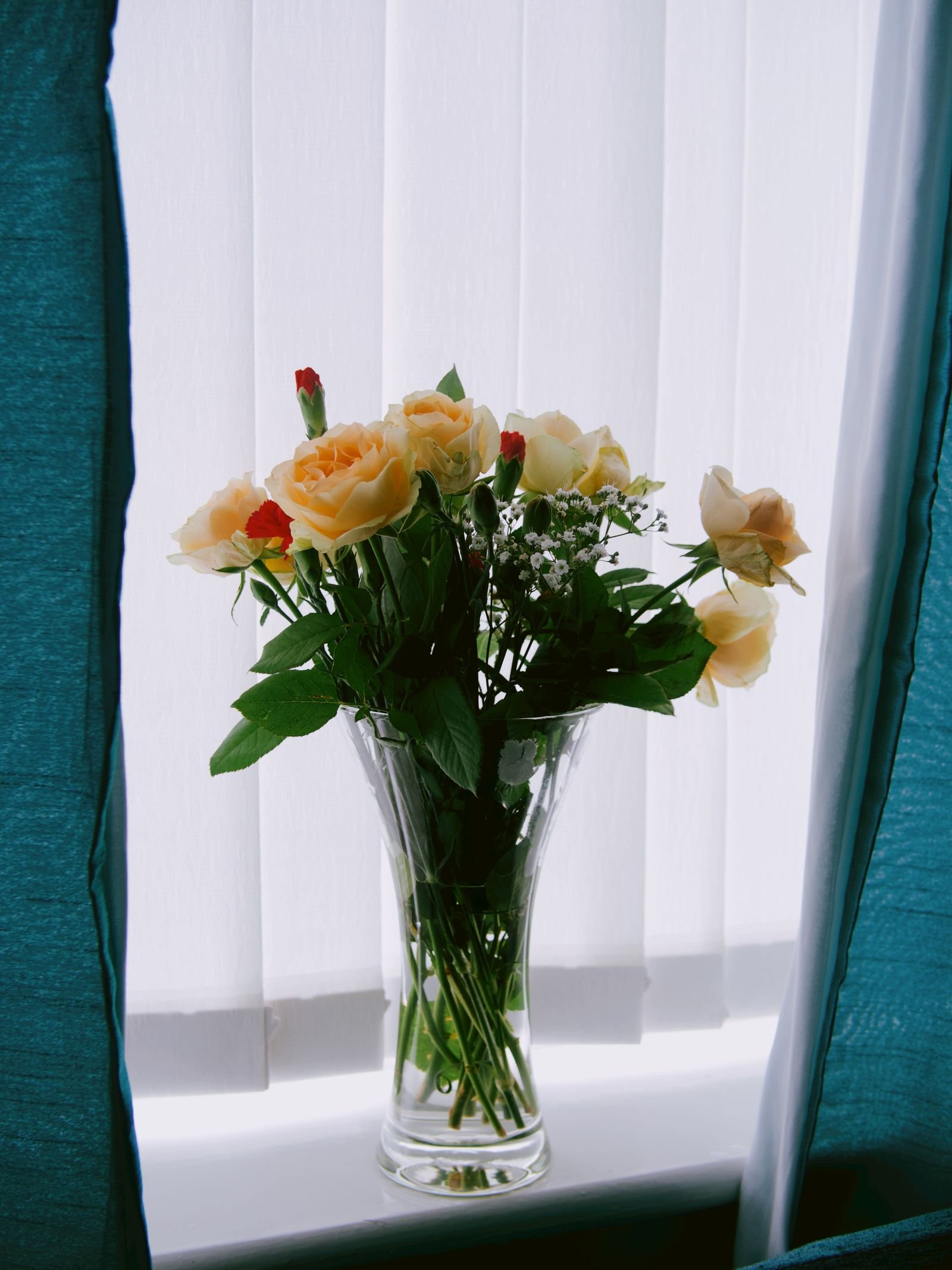 Peach and red roses in a vase on a bright windowsill.