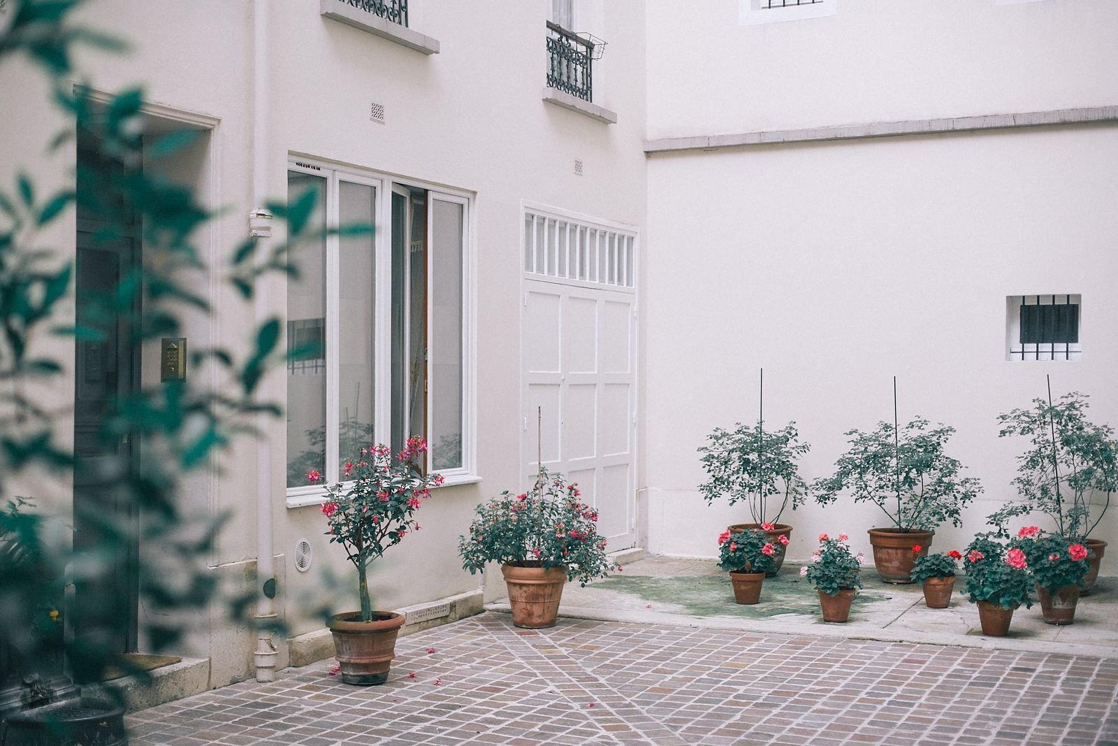 Stone cottage backyard decorated with blooming potted flowers and green plants.