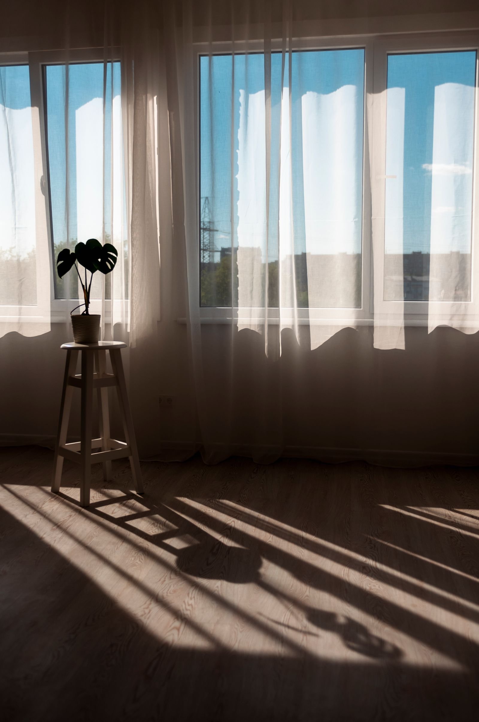 Sunlit minimalist room with sheer curtains and a potted plant by the window.