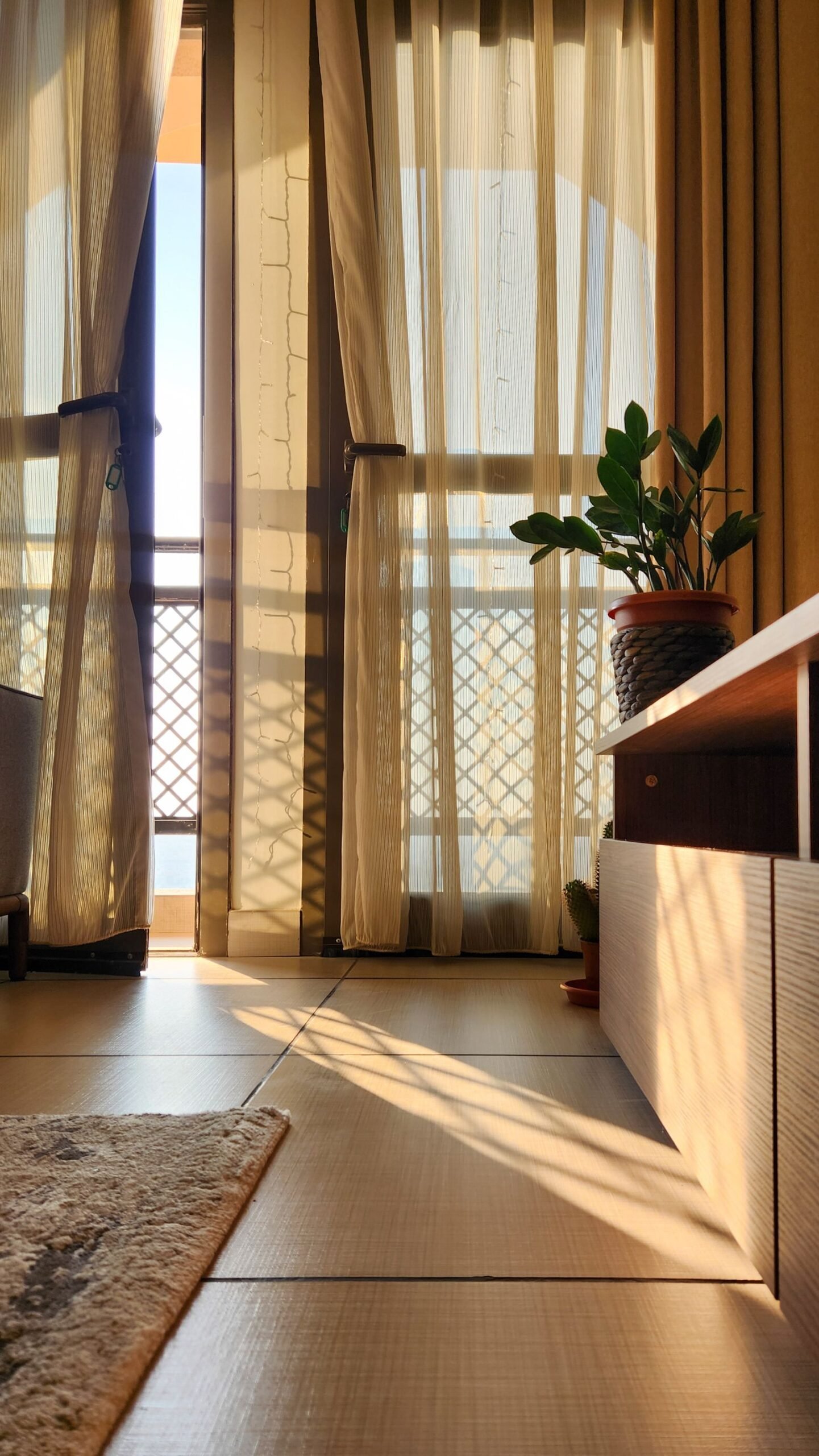 Soft sunlight through sheer curtains into a cozy room with a potted plant.