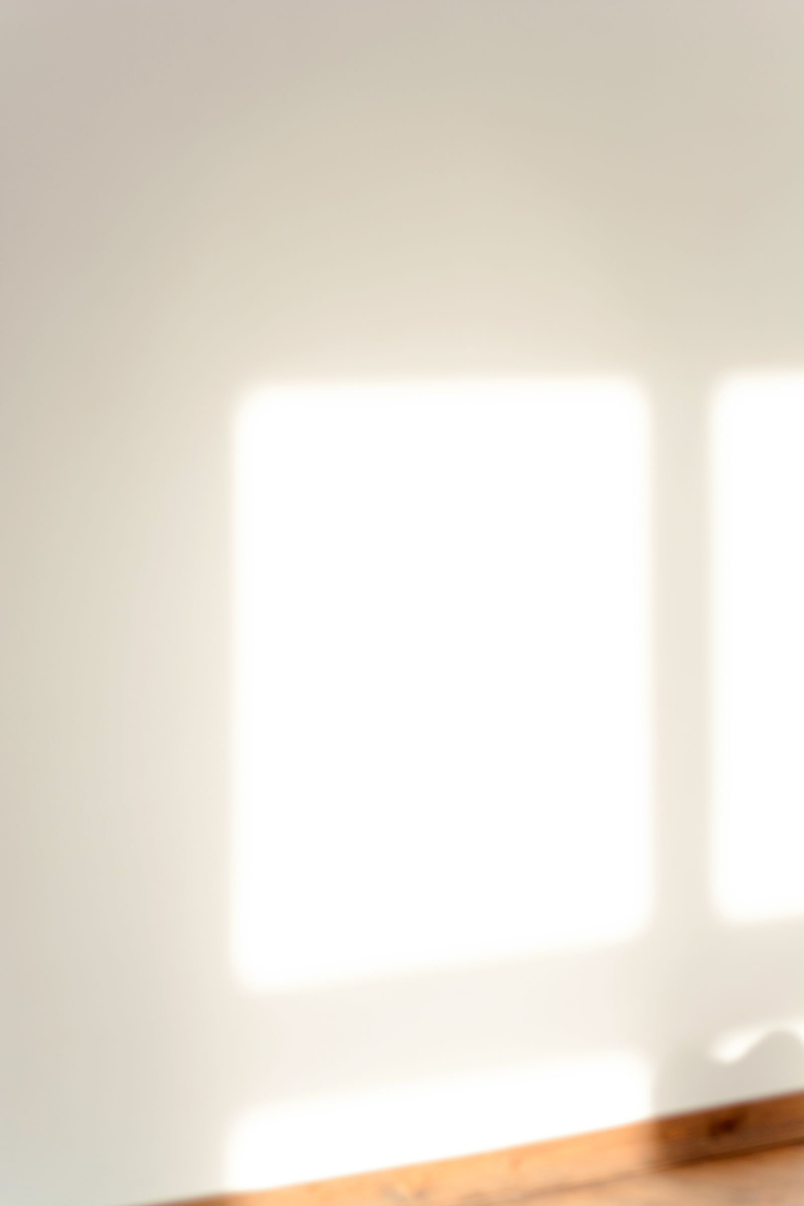 Sunny white wall with window shadows in a modern apartment.