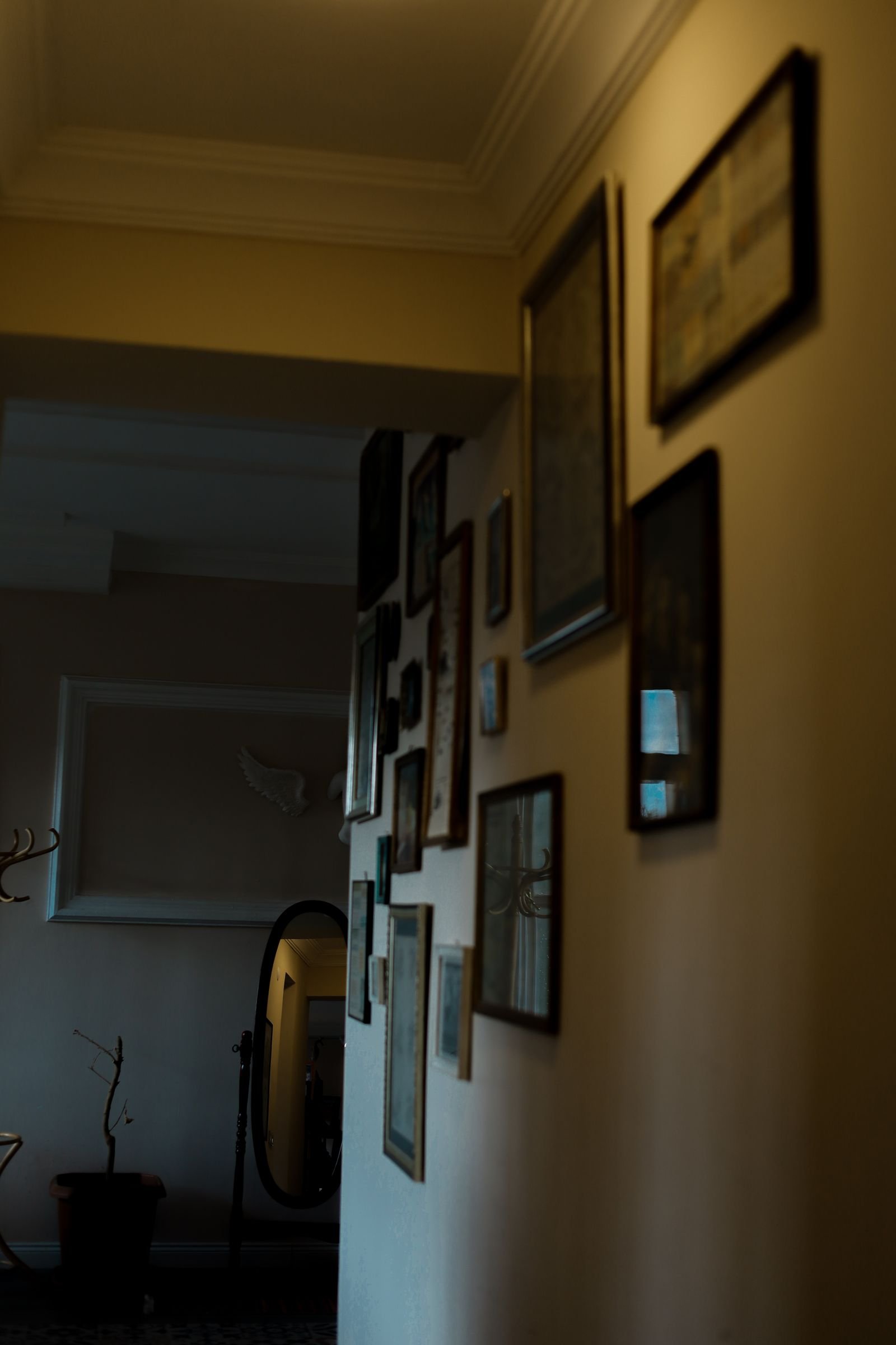 Dimly lit hallway with vintage framed art on the walls.
