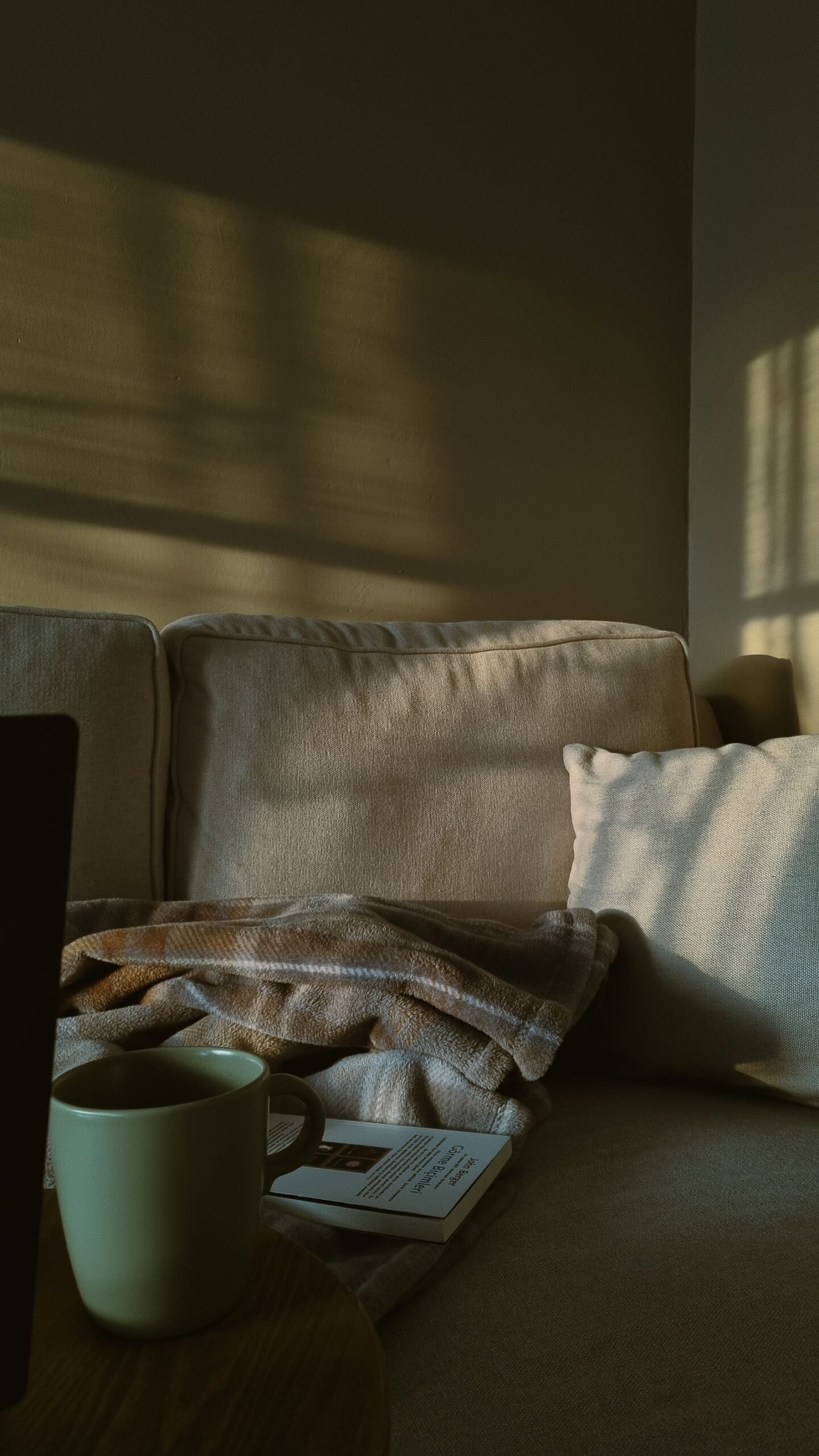 Sunlit living room with a soft blanket, a coffee cup and a book.