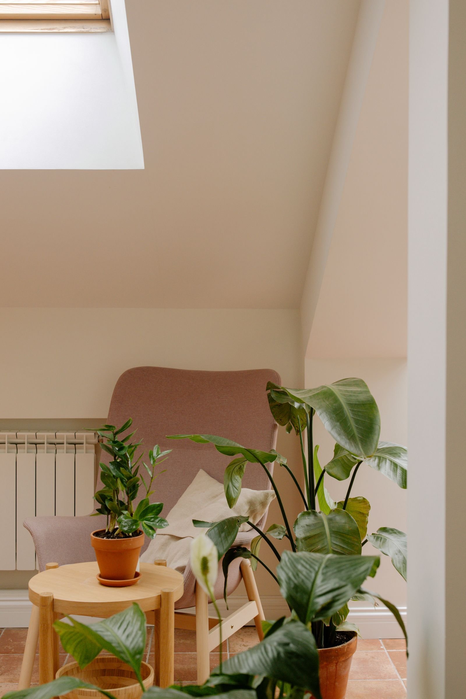 Armchair beside lush potted plants under a skylight.