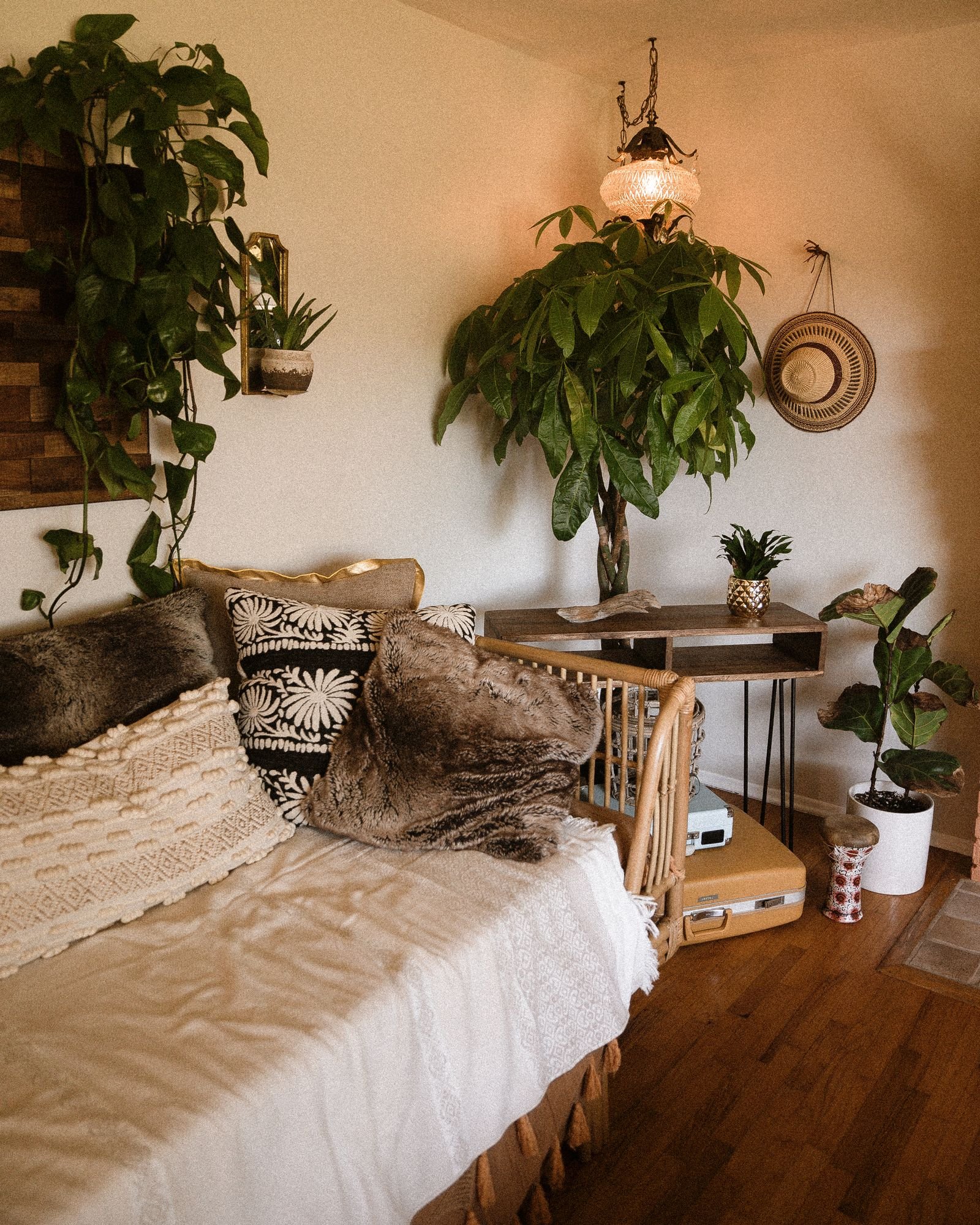 Warm living room with houseplants and wooden decor.
