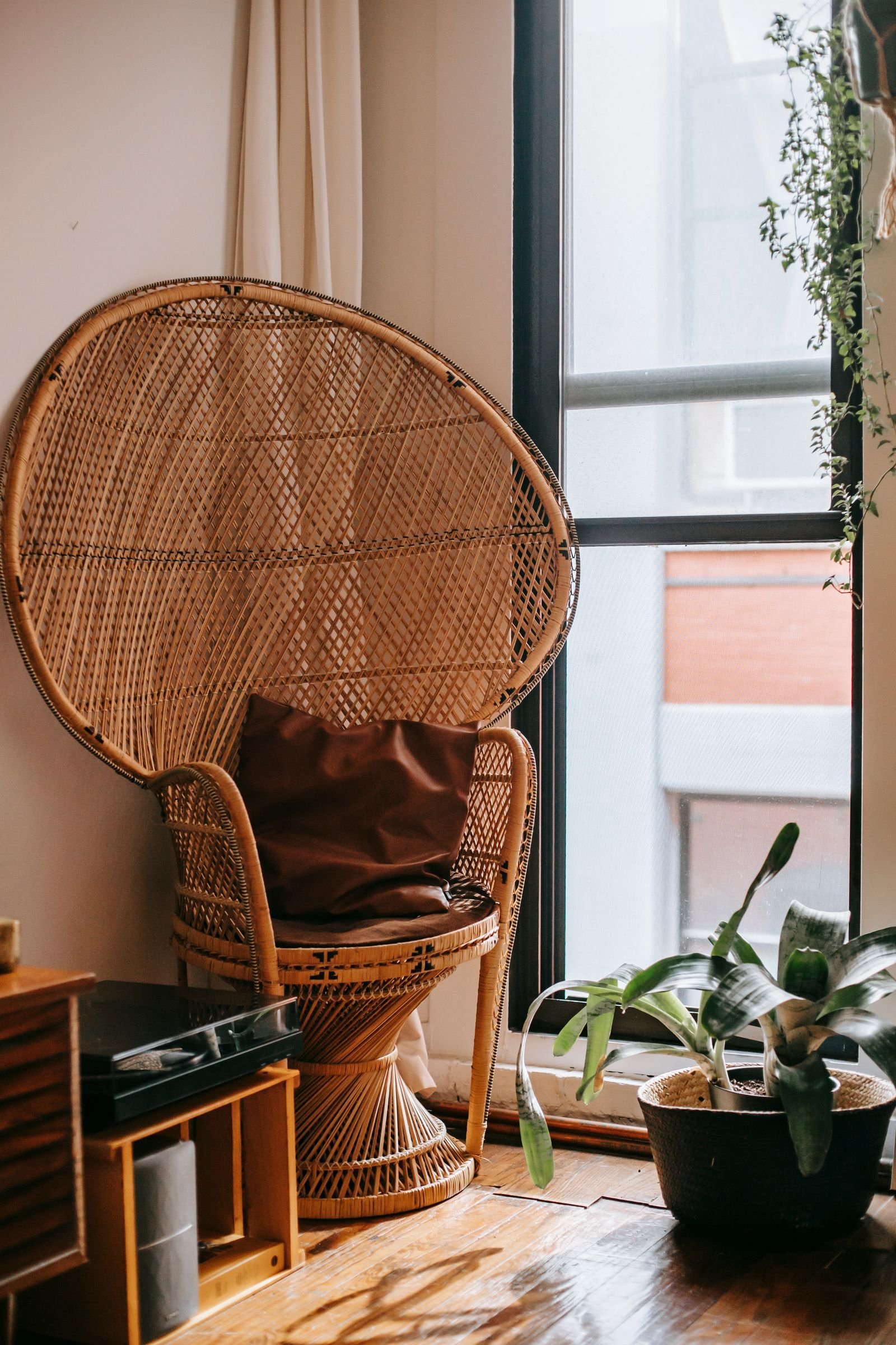 Wicker armchair with a cushion beside a window and a potted plant.