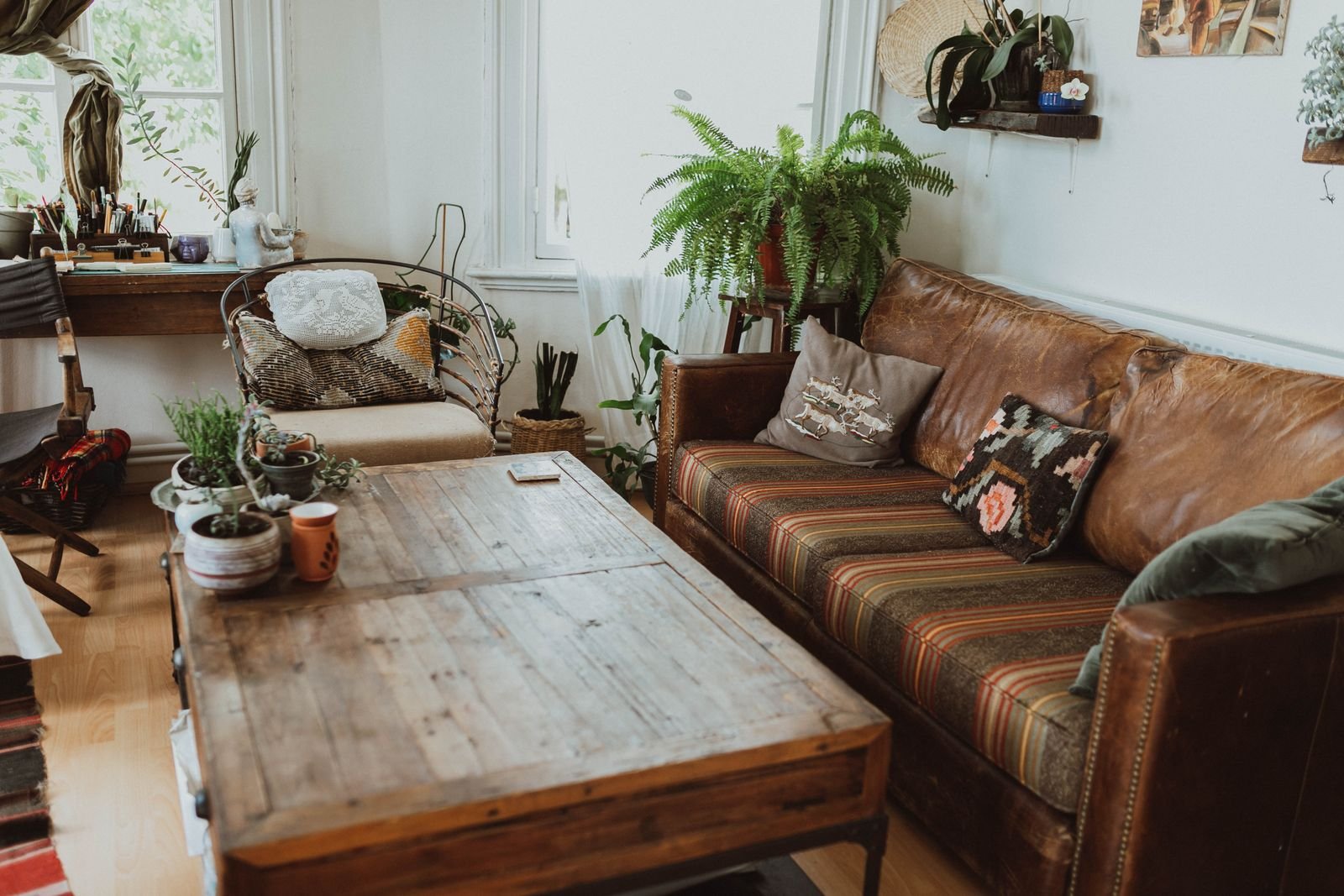 Cozy living room with rustic furniture and lush greenery.