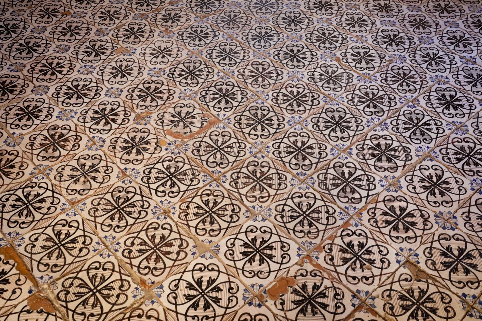 Vintage patterned tile floor with black floral designs.