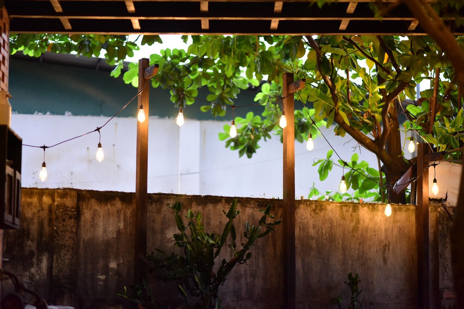 Patio with glowing string lights and lush greenery in the evening.