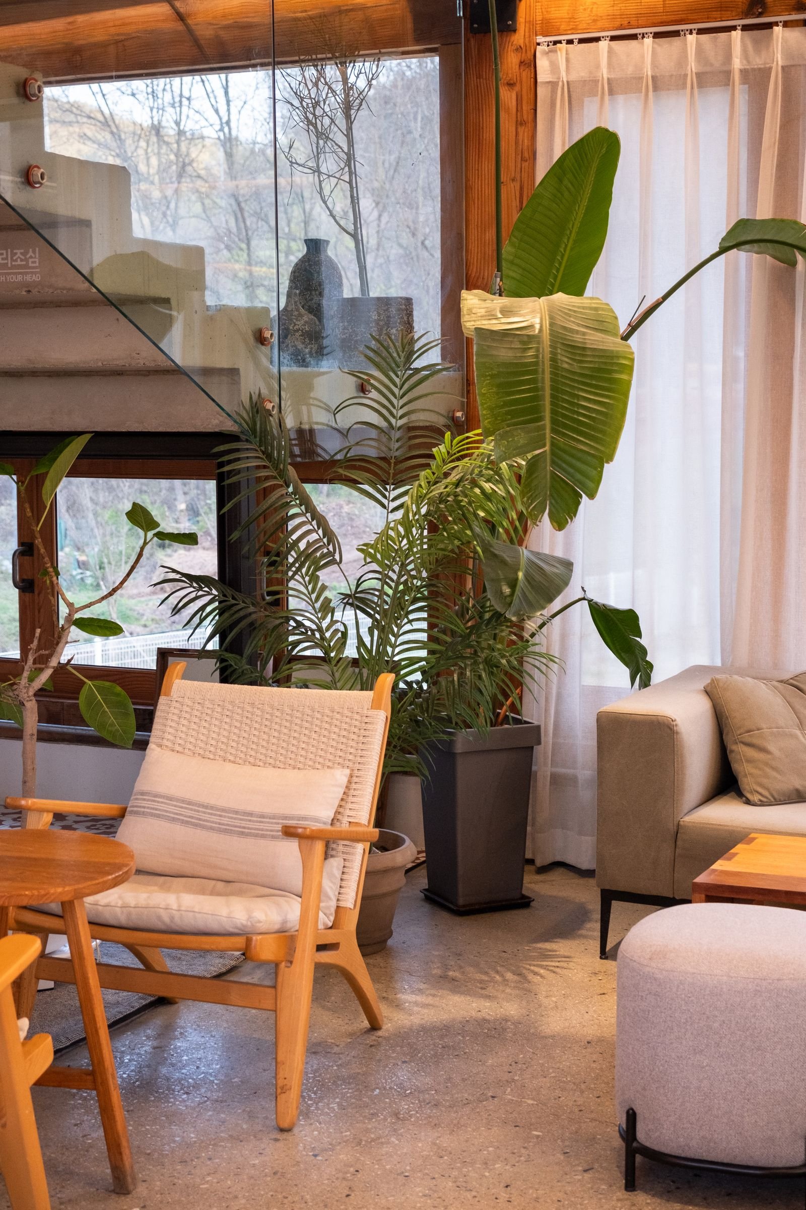 Minimalist living area with a sofa, chairs and plants.