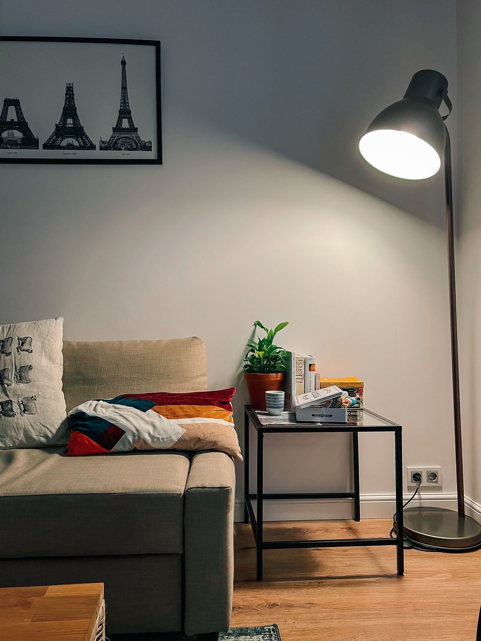 Modern living room with a cozy sofa and a floor lamp.