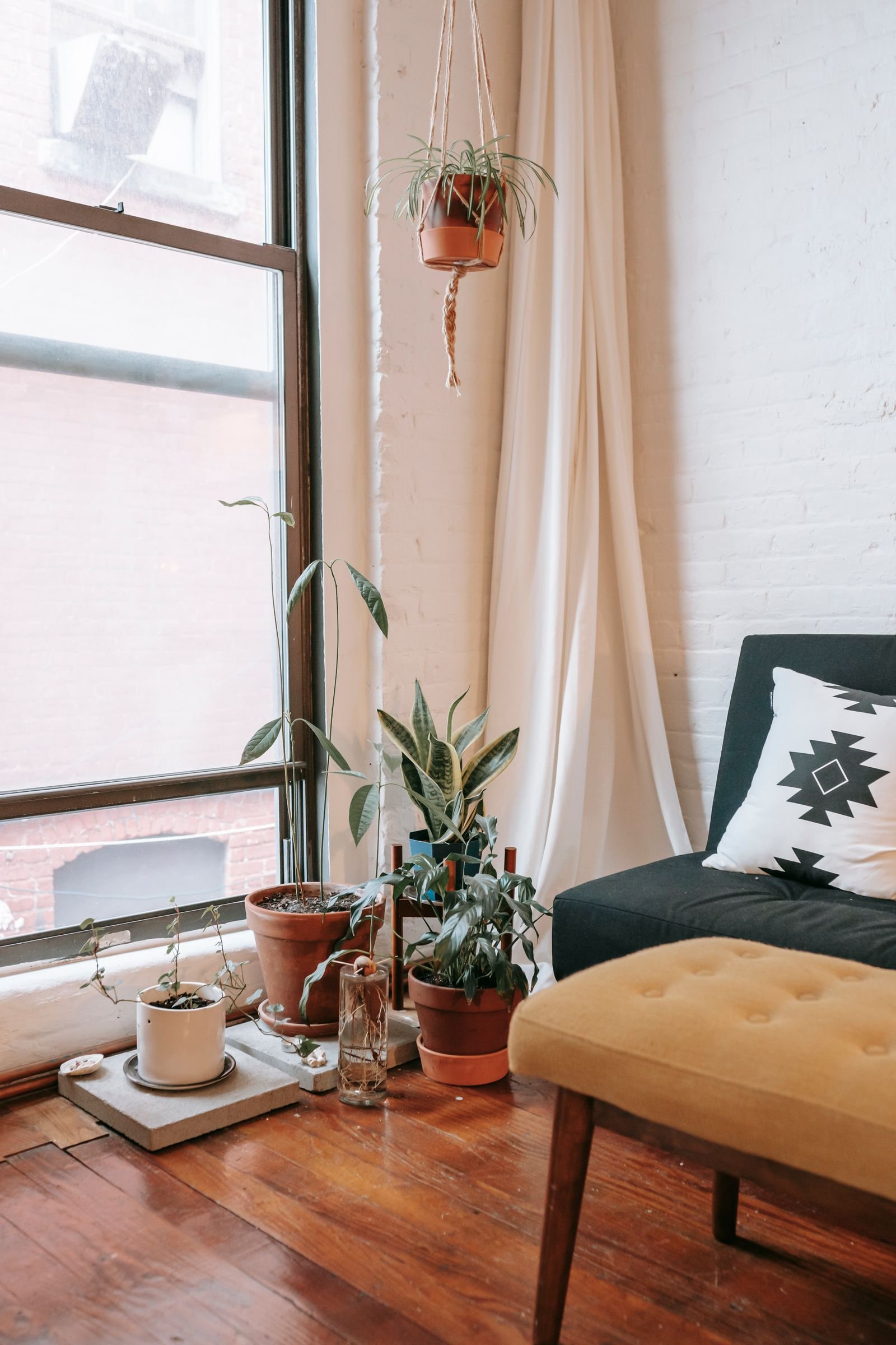 Living room with a sofa, fabric bench and potted plants near a window.