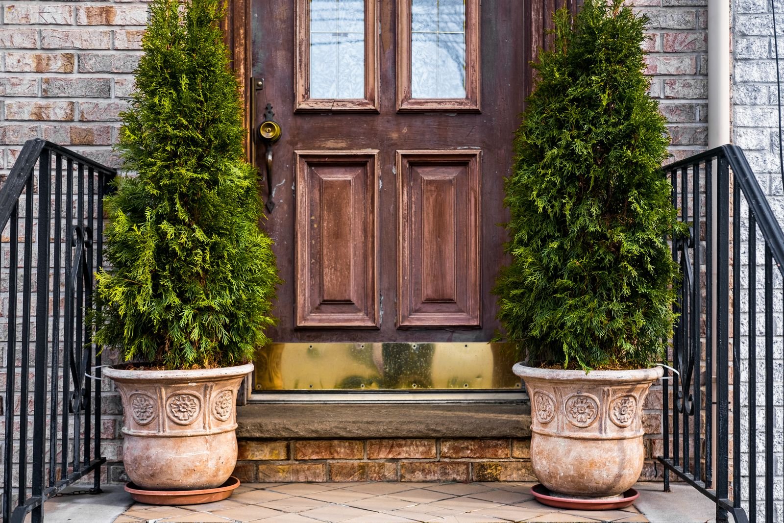Wooden front door framed by two potted evergreen plants.