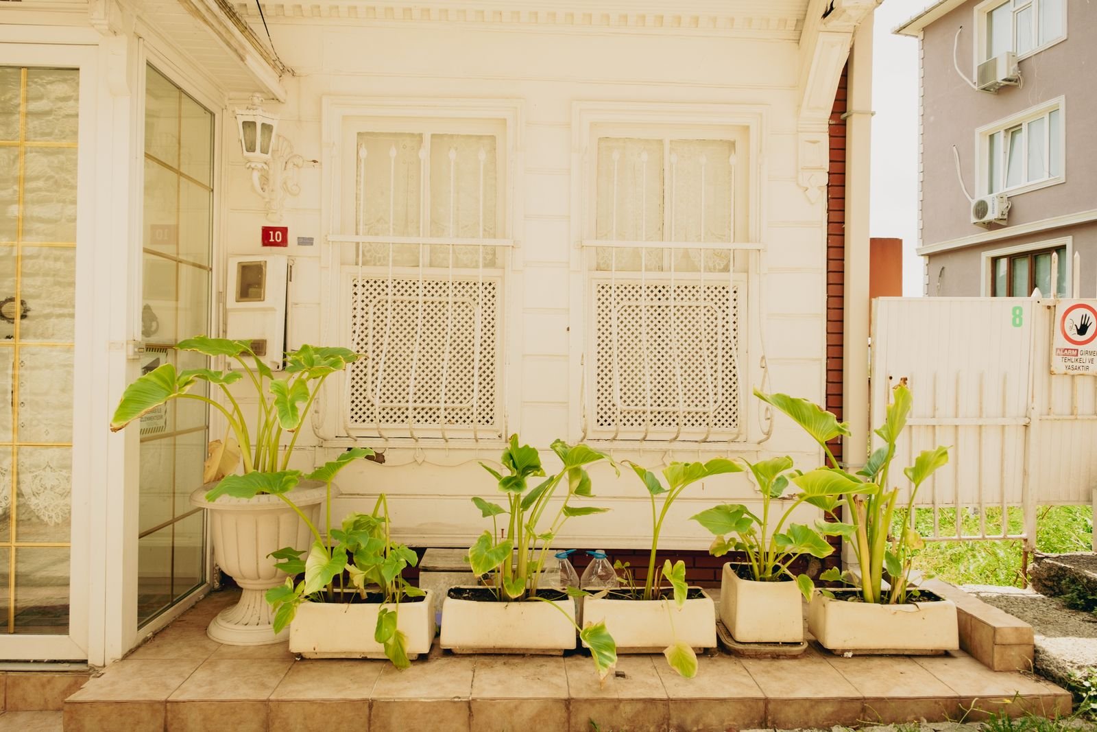 White house facade with plants in pots along the front.