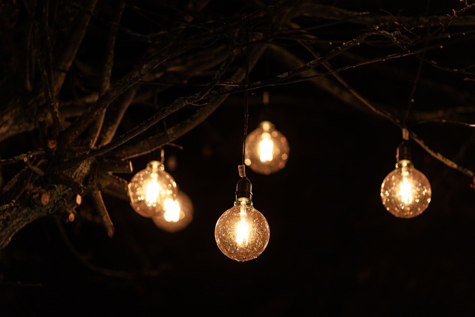 Glowing string lights hanging from a tree branch at night.
