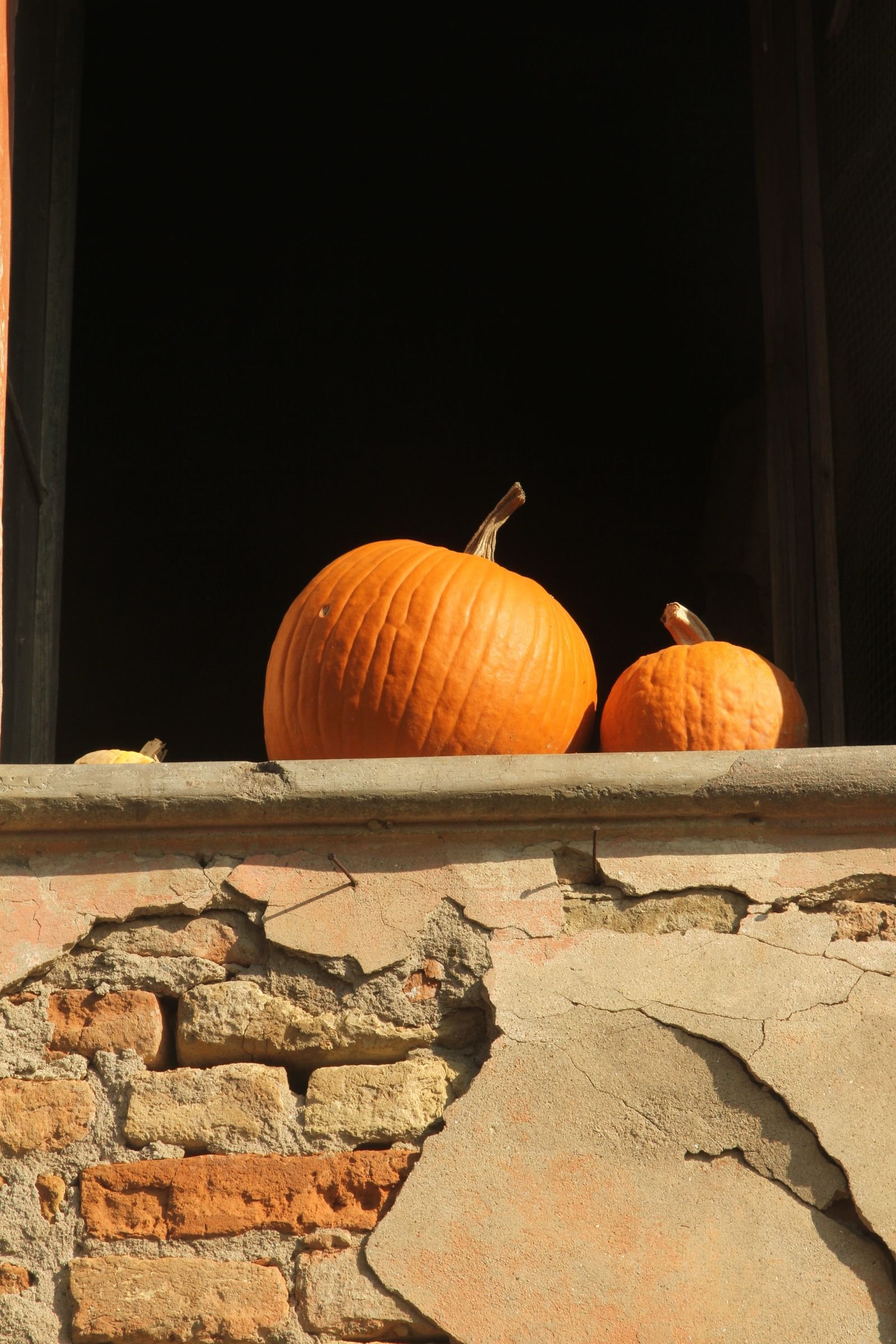 Two pumpkins resting on a rustic windowsill with an aged brick background.