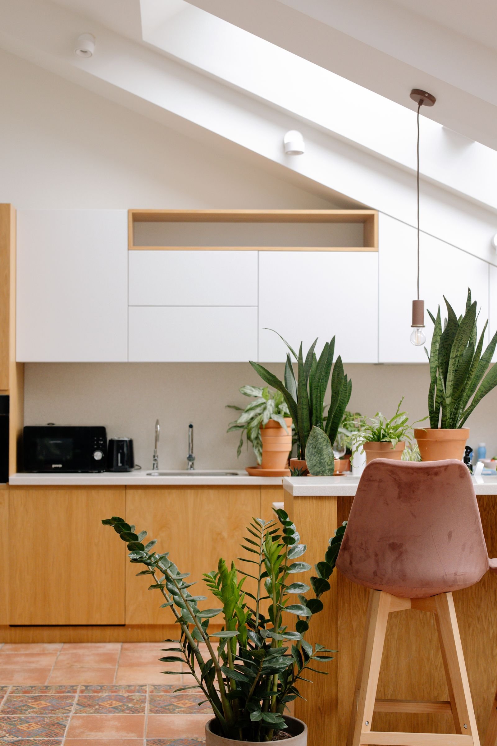 Bright modern kitchen with indoor plants and wooden cabinets.