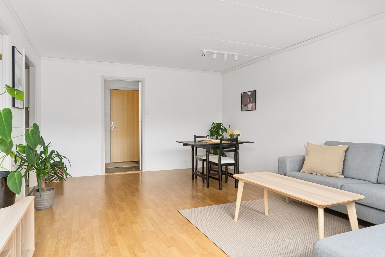 Well-lit living room with wooden flooring and a coffee table.