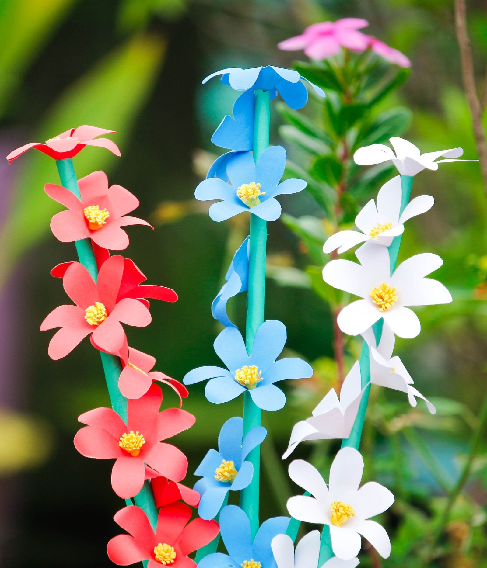 Handmade paper flowers in red, blue and white on stems.