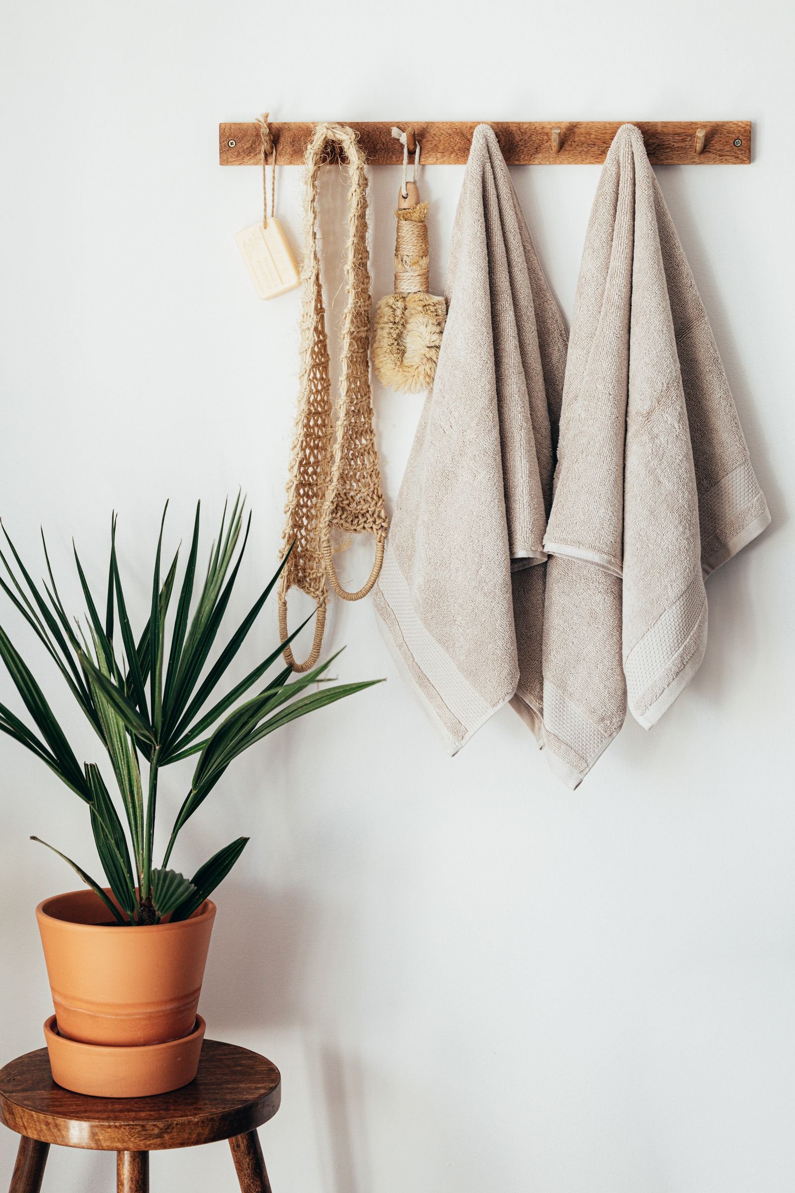 Green houseplant beside hanging towels in a minimalist bathroom.