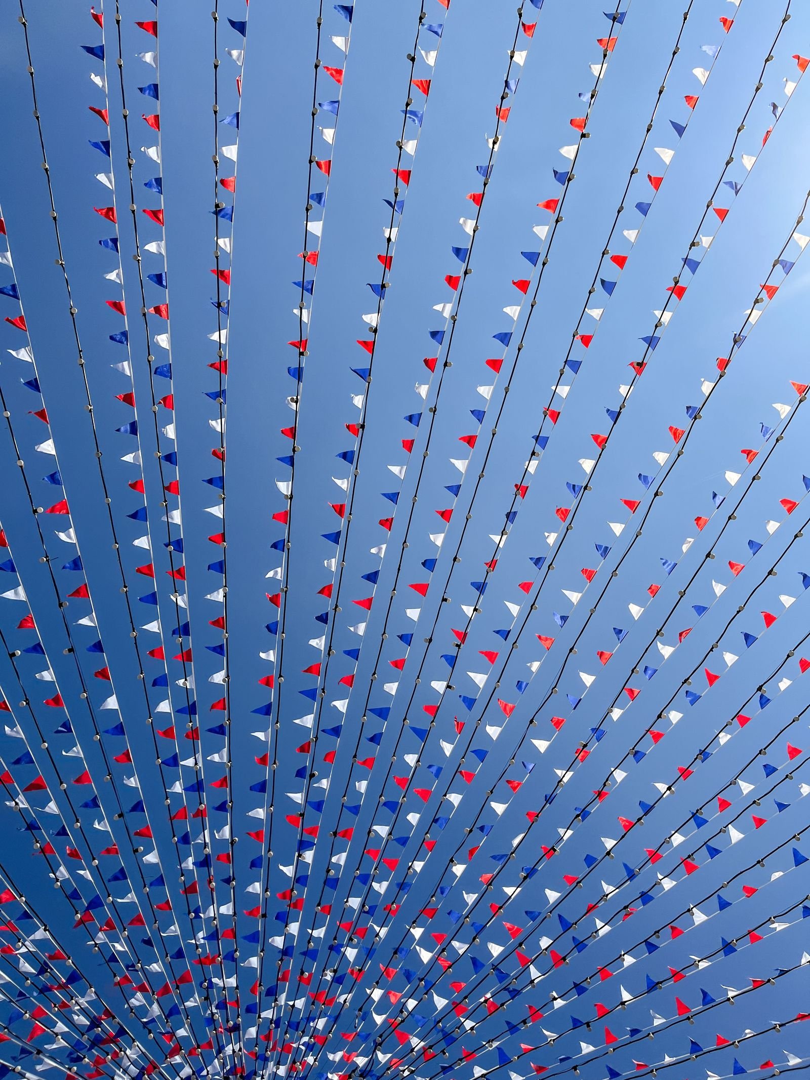 Red, white and blue flags strung in lines under a blue sky.