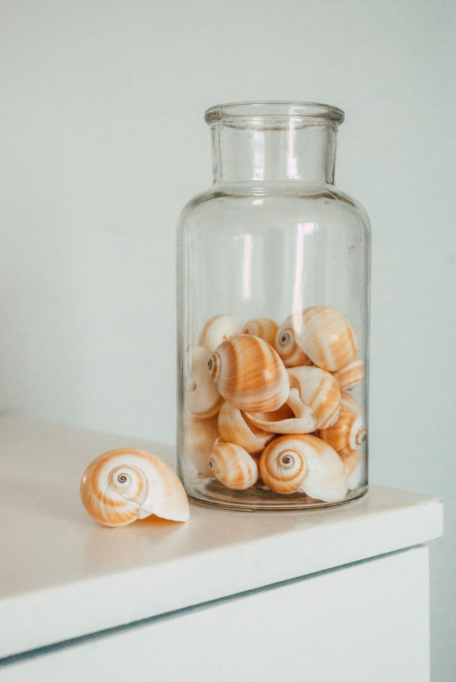 Seashells displayed in a clear glass jar on a table.