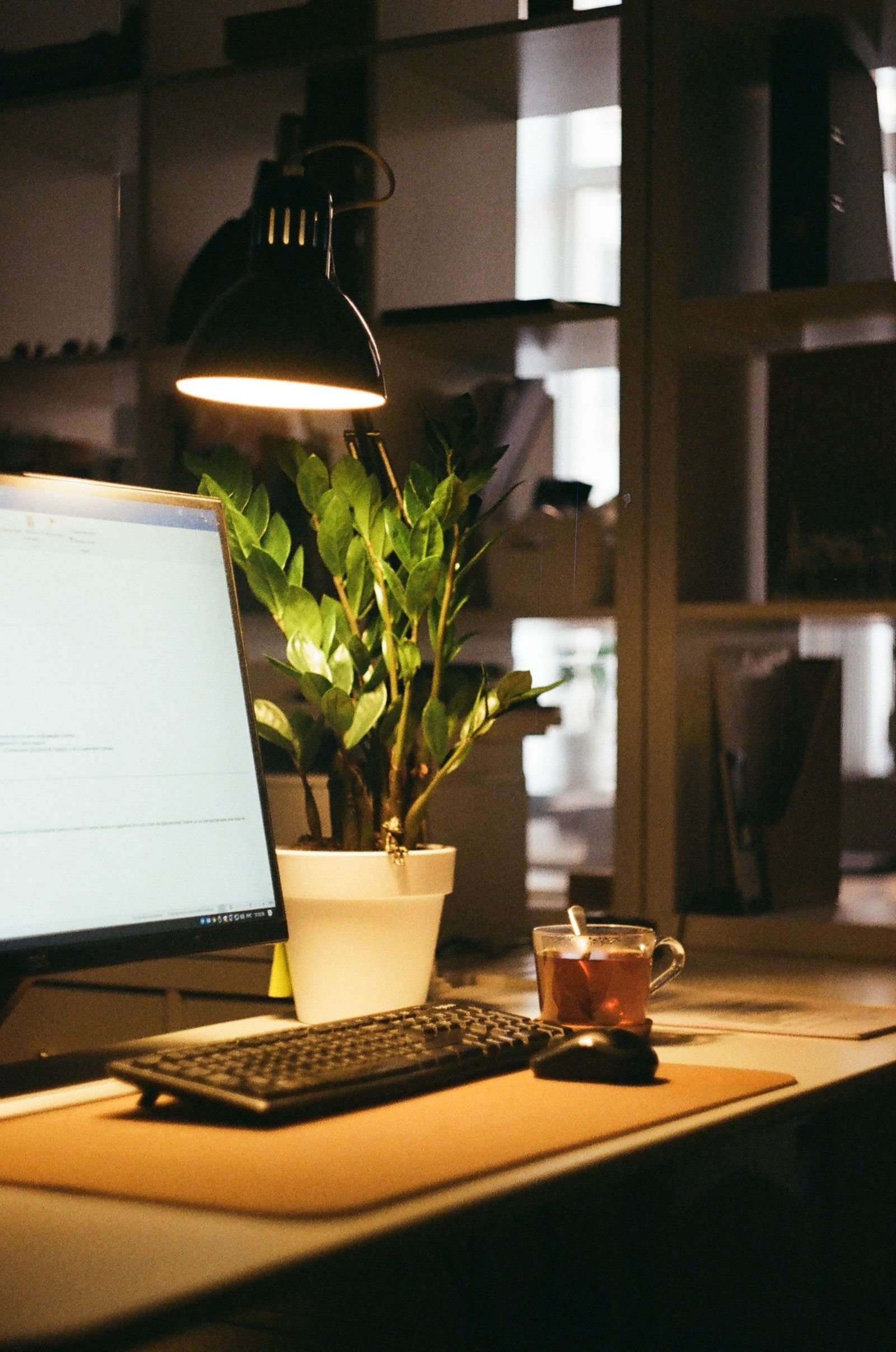 Warm-lit desk with a computer, a lamp, a plant and a cup of tea.