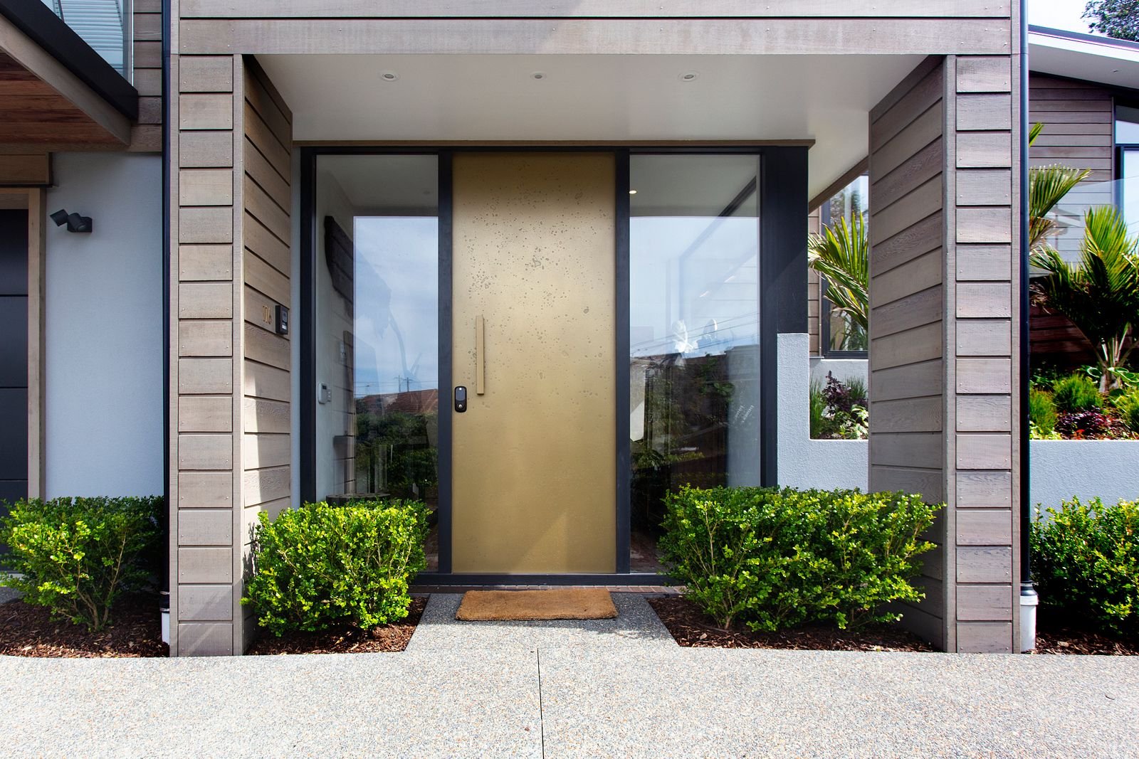 Modern front door with lush green plants beside it.