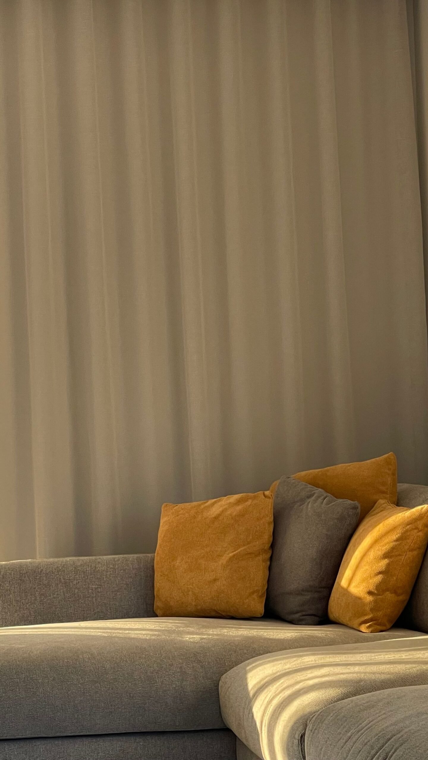 Minimalist living room with a gray sofa and sunlight through sheer curtains.
