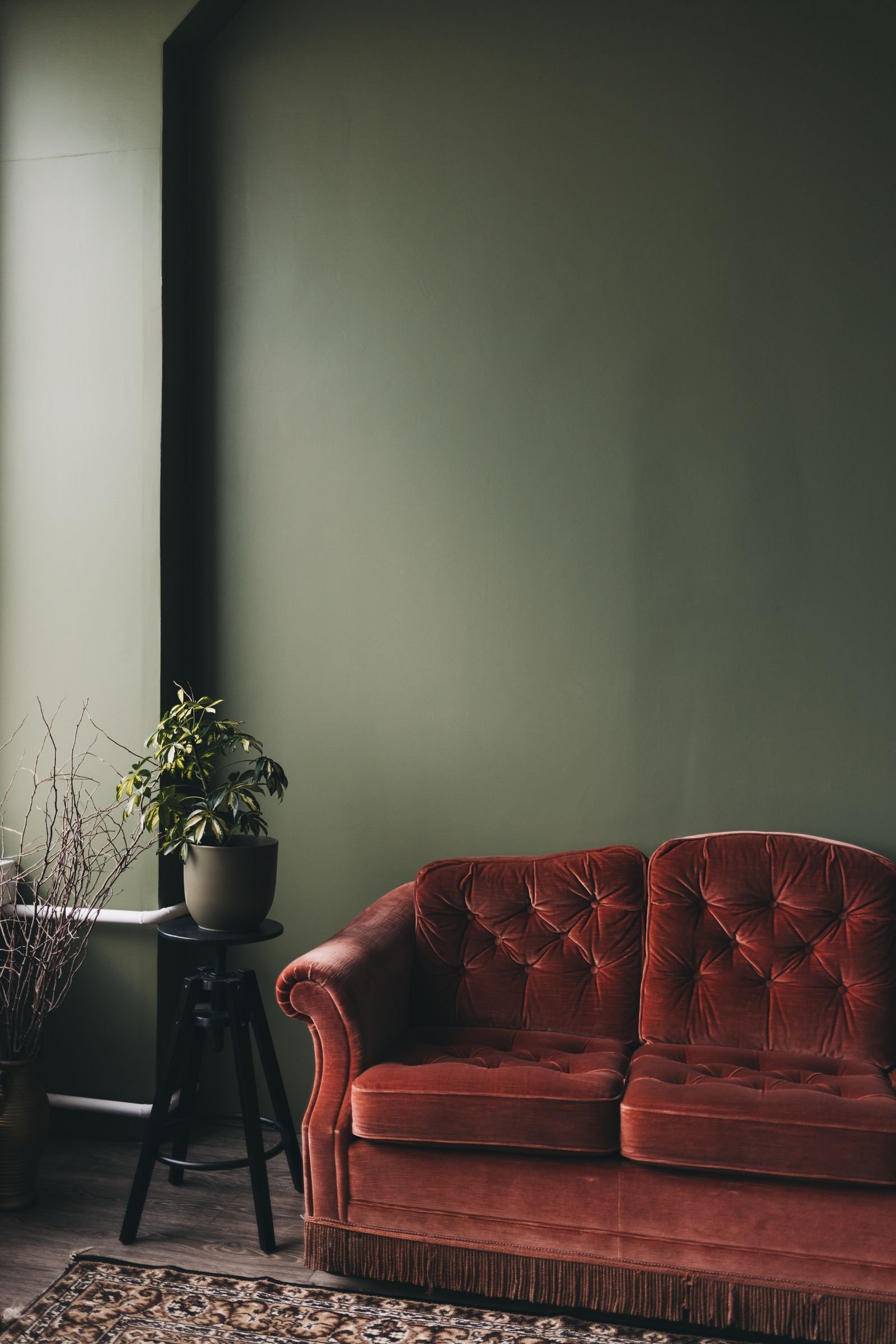Living room with a green velvet sofa and a potted plant against a green wall.