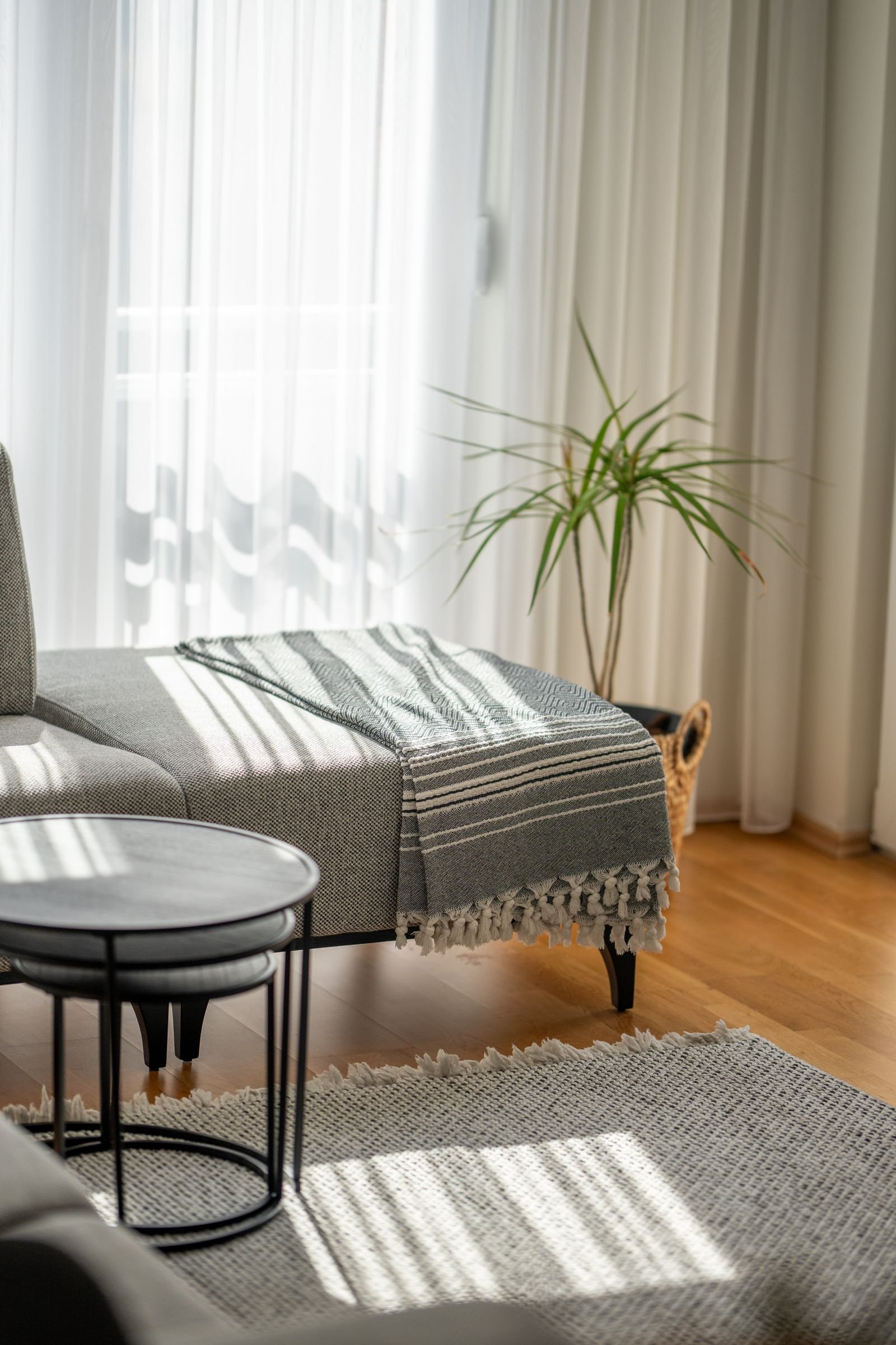 Calm Scandinavian living room with sunlight through the curtains.
