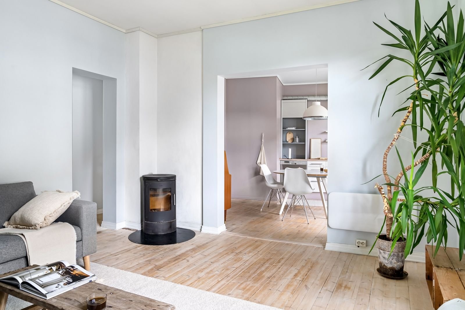Bright living room with a black wood stove and a houseplant.