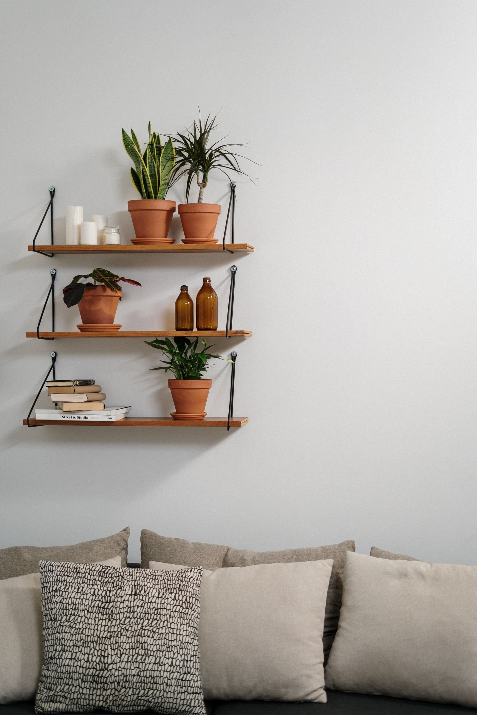 Wooden wall shelves with potted plants above cozy pillows.