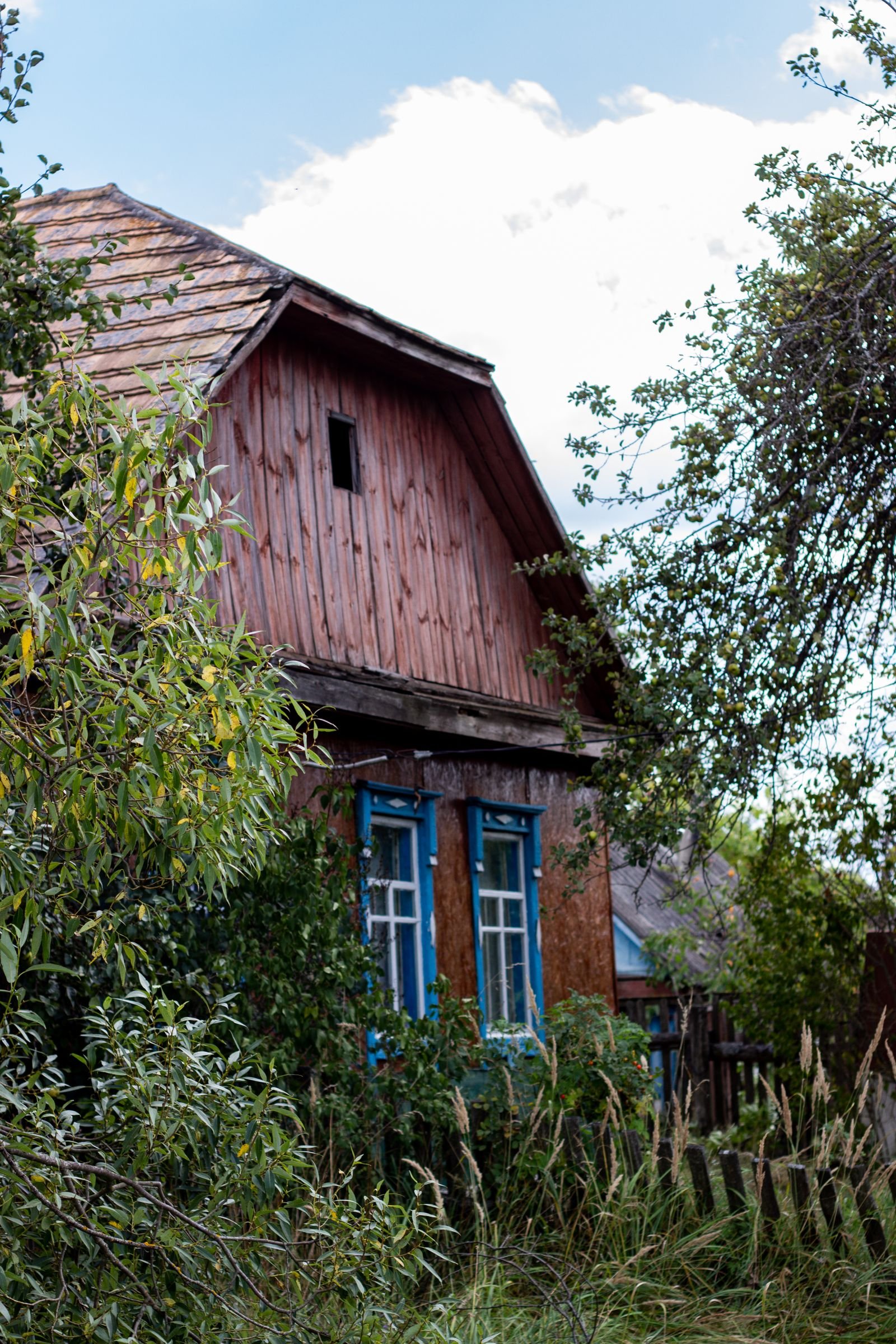 Wooden cottage surrounded by lush greenery.