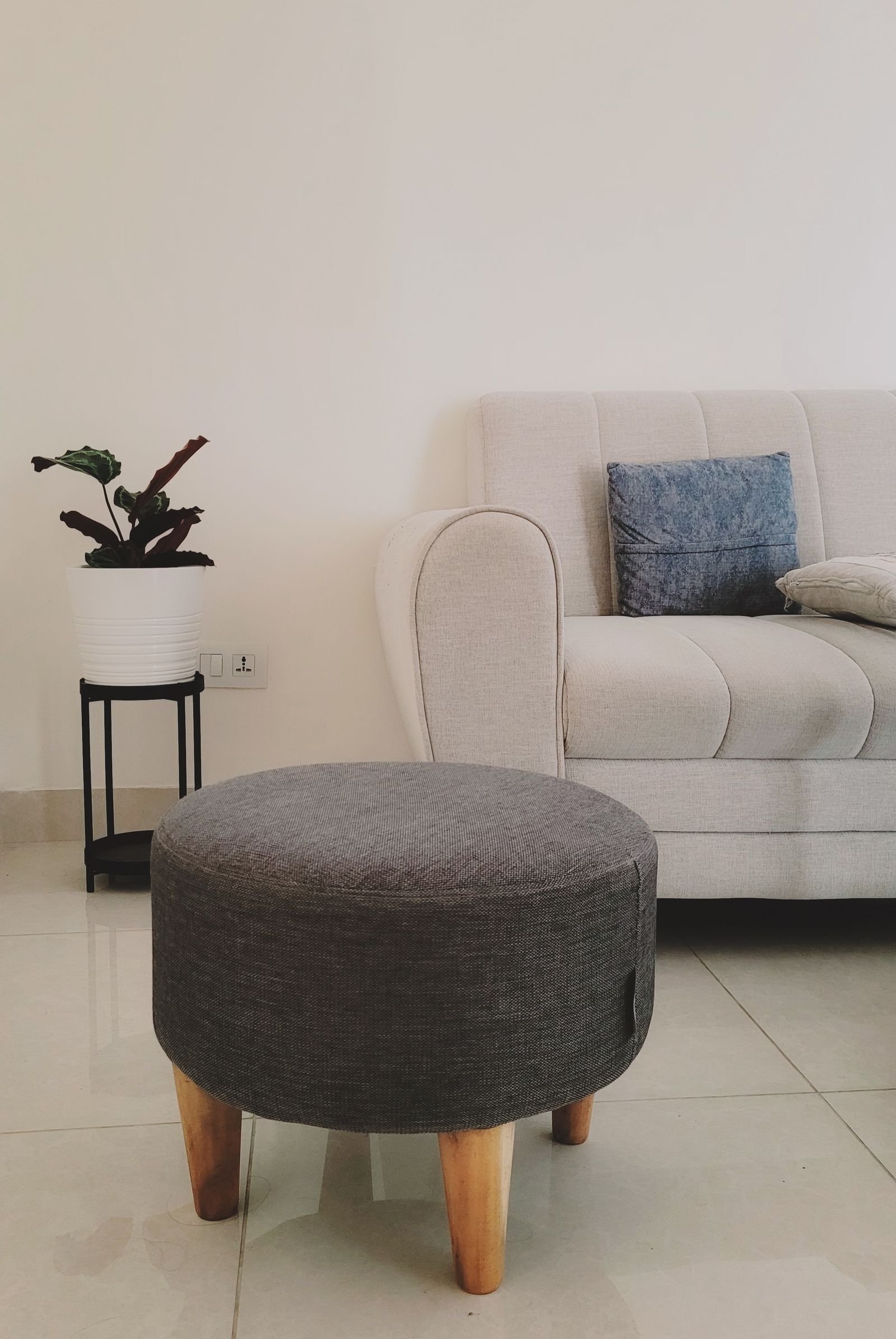 Grey ottoman beside a sofa and potted plant in a tidy living room