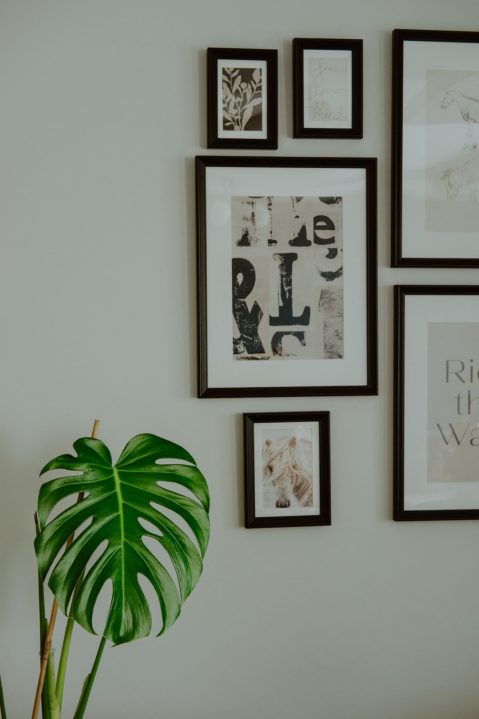 Gallery wall of framed artworks beside a monstera leaf plant
