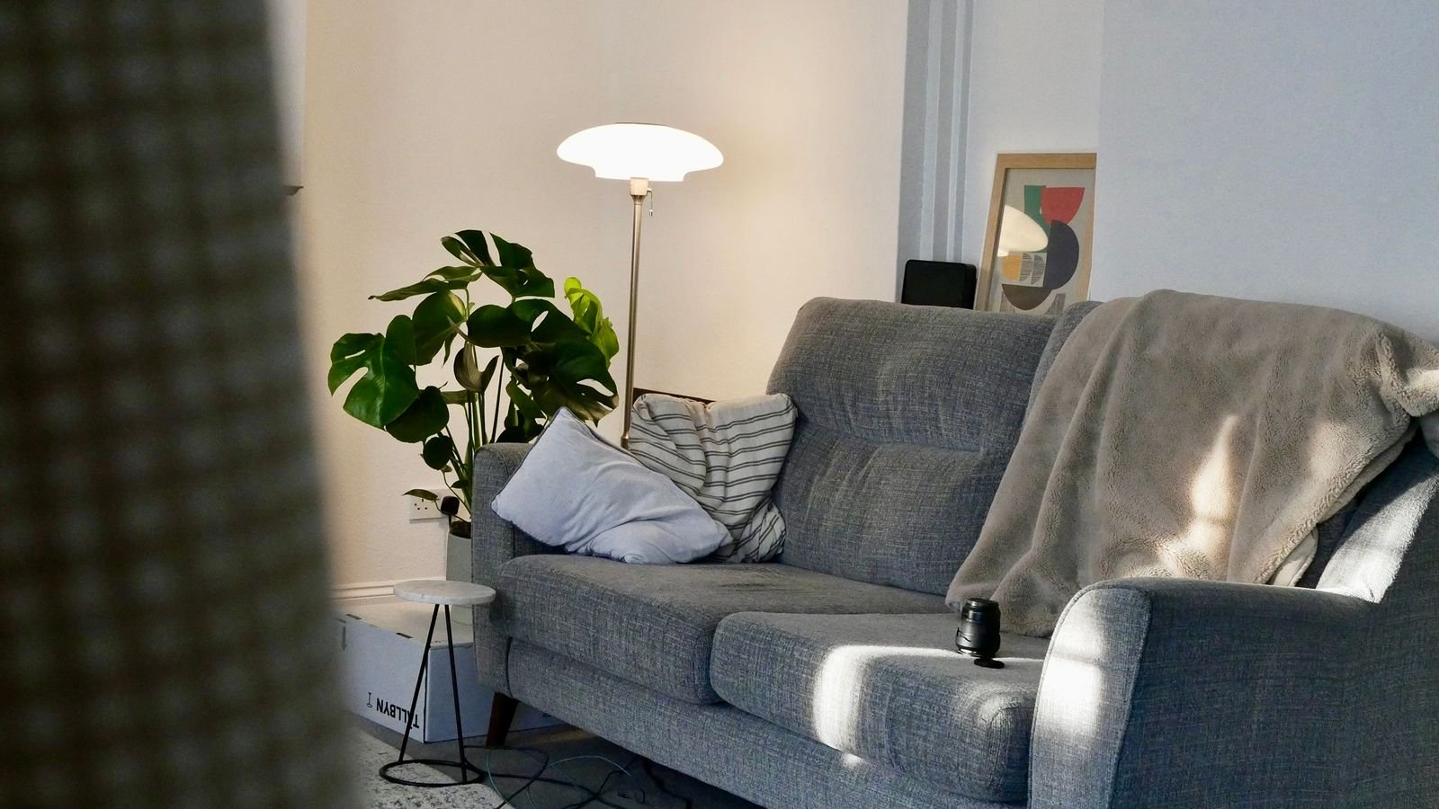 Cozy living room with a grey sofa, floor lamp and indoor plant in morning sun.