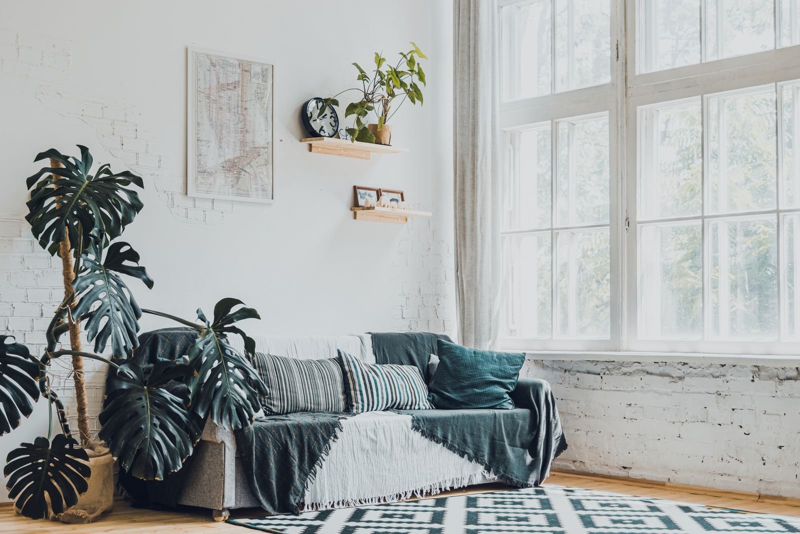Bright living room decorated with monstera plants